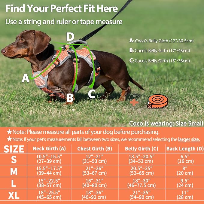 Escape Proof Dog Harness, Dachshund Harness, Reflective Dog Harness with Handle, Durable,Adjustable Vest for Small Medium Large Dogs Walking, Training, and Running Gear (Orange,M)