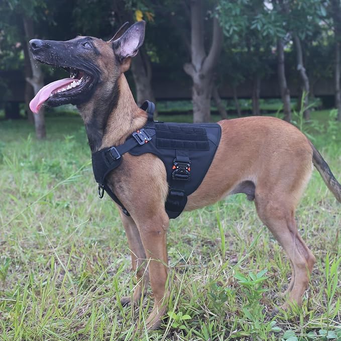 ICEFANG Tactical Dog Harness for X-Large Dogs,Full Metal Buckles Dog Vest | with MOLLE, Reflective,Adjustable,2 Leash Clips,Control Handle,No Pull,Soft Padded,Black,X-Large