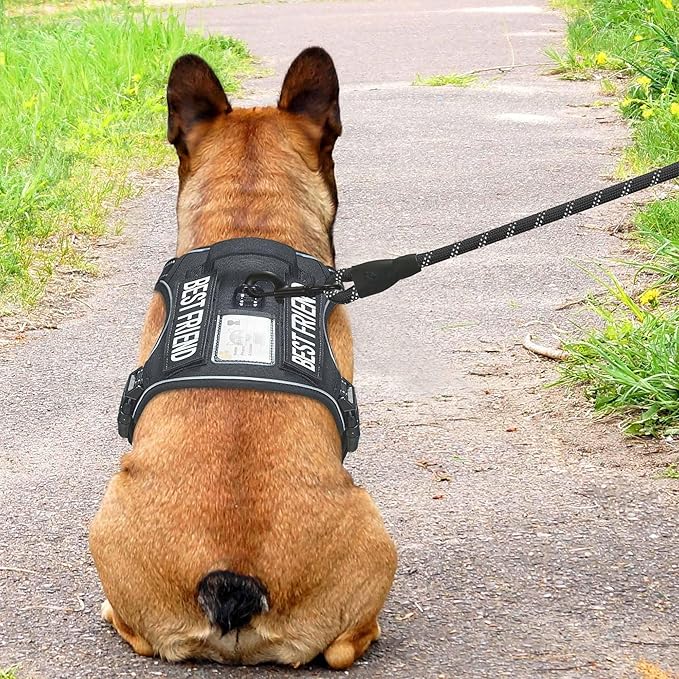 Beebiepet Heavy Duty Tactical Dog Harness for Small Dogs, No Pull Adjustable Pet Harness Reflective Service Training Easy Control Pet Vest Military K9 Working Dog Harnesses- Medium, Black