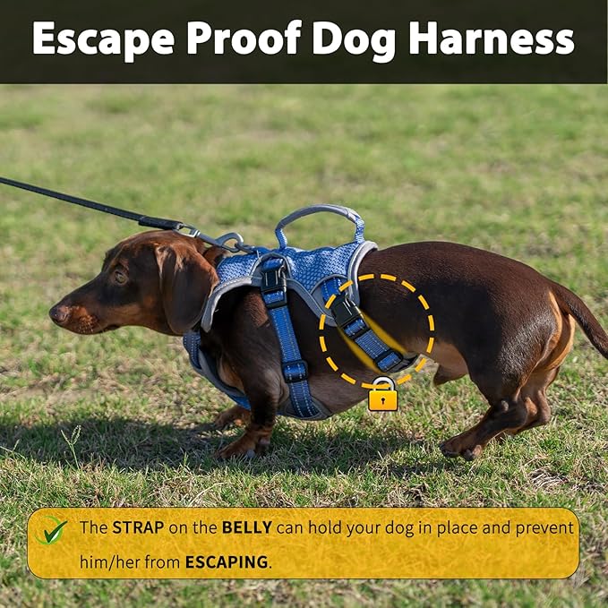 Escape Proof Dog Harness, Dachshund Harness, Reflective Dog Harness with Handle, Durable,Adjustable Vest for Small Medium Large Dogs Walking, Training, and Running Gear (Technicolor Blue,M)