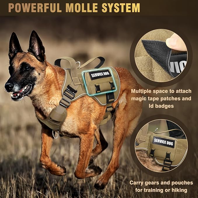 2X Metal Buckle Service Working MOLLE Dog Vest with 10 Pet Patches | Tactical Dog Harness for Medium Dog, No-pull Military Working Vest for Training Hunting Walking，2x D Rings for Leash Clip