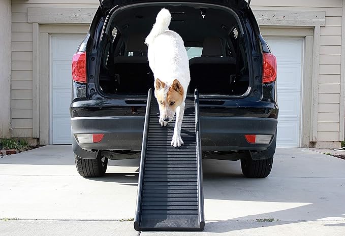 PawStep 61" Folding Pet Ramp, Portable Dog Ramp for Cars, SUVs, Beds & Couches, Lightweight PP Construction, Textured Surface, Optional Carpet for Added Traction, 165 lb Capacity (50524)