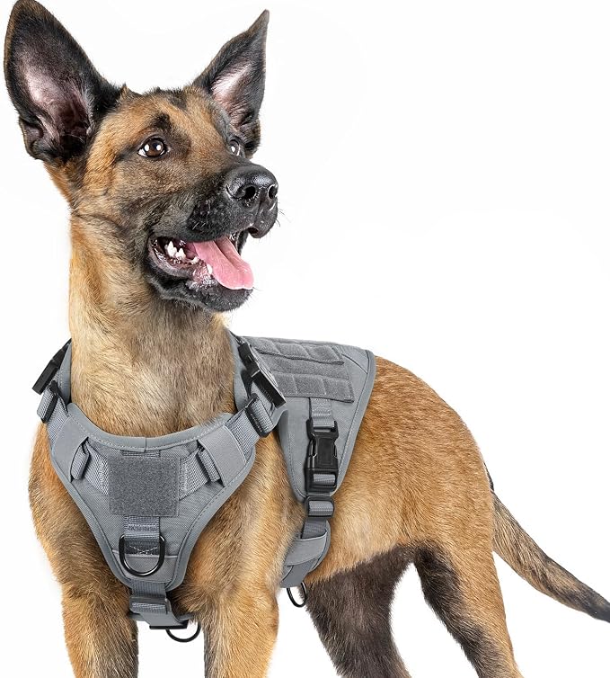 rabbitgoo Tactical Dog Harness for Small, Heavy Duty Military No Pull Vest | Sturdy Metal Buckles, 5 Adjustments, Molle System, Powerful Pullers for Training, Hunting, Outdoor, Grey, Small