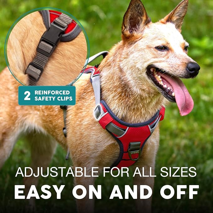 Embark No Pull Dog Harness, Reflective Adjustable Training Vest, No Choke | Adjustable straps fit all dog breeds with sturdy hooks; 360° reflective trim, soft padded Harness Design for All Dogs