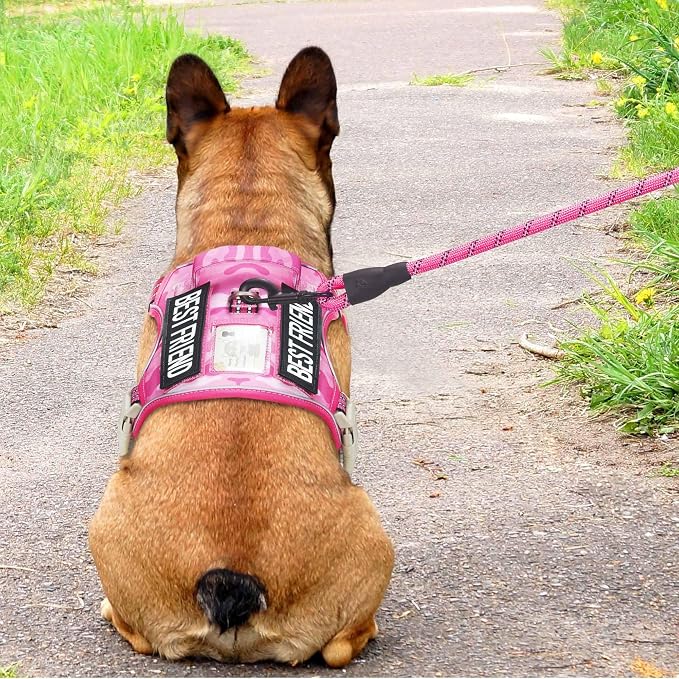 Beebiepet Heavy Duty Tactical Dog Harness for Small Dogs, No Pull Adjustable Pet Harness Reflective Service Training Easy Control Pet Vest Military K9 Working Dog Harnesses- Small, Pink Camo