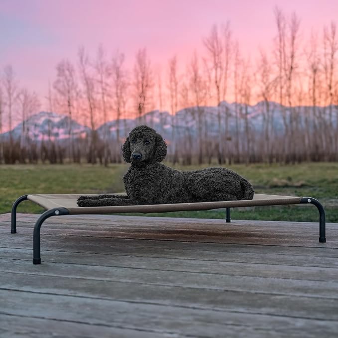 FurHaven Elevated Pet Cots - Cooling & Breathable Nylon Mesh Hammock for Large Dogs/Easy-to-Assemble / / Durable and Reinforced/Perfect for Rest & Relaxation Outdoors - Graphite Gray, Large
