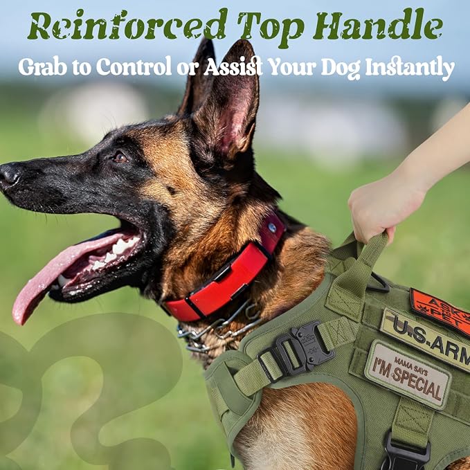 rabbitgoo Tactical Dog Harness for Small, Heavy Duty Military No Pull Vest | Sturdy Metal Buckles, 5 Adjustments, Molle System, Powerful Pullers for Training, Hunting, Outdoor, Green, Small