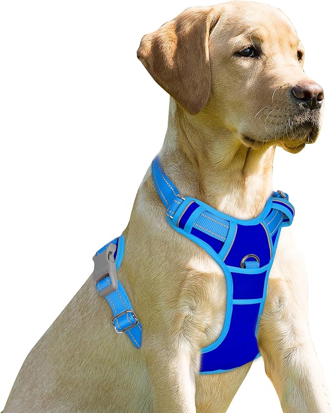 BARKBAY Dog Harness No Pull for Small Sized Dog Front Back Clips,Dog Vest | Soft Padded No Choke With Handle,Easy On&Off,Adjustable Reflective For Walking Training Running(Sapphire Blue & BlueXS)