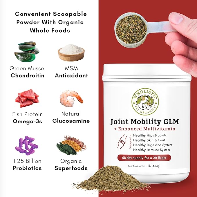 Wholistic Pet Organics - Hip and Joint Supplement for Dogs & Cats - Cat & Dog Joint Supplement - Green Lipped Mussels, Glucosamine, Chondroitin for Dogs & Cat Mobility Support - 1 Lb - 45 Scoops