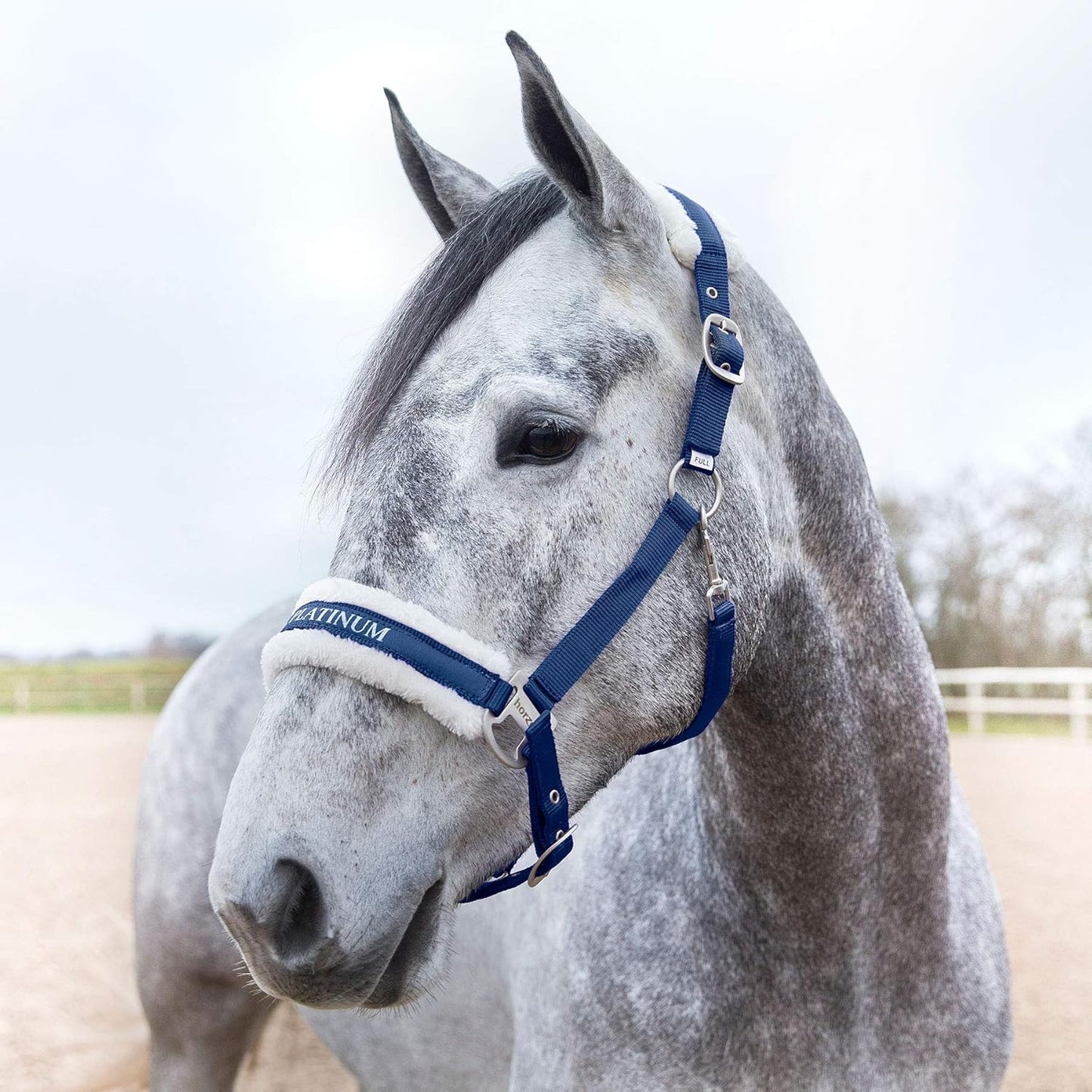 HORZE Howard Soft Fleece Padded Adjustable Polyester Horse Halter - Peacoat Dark Blue - Warmblood