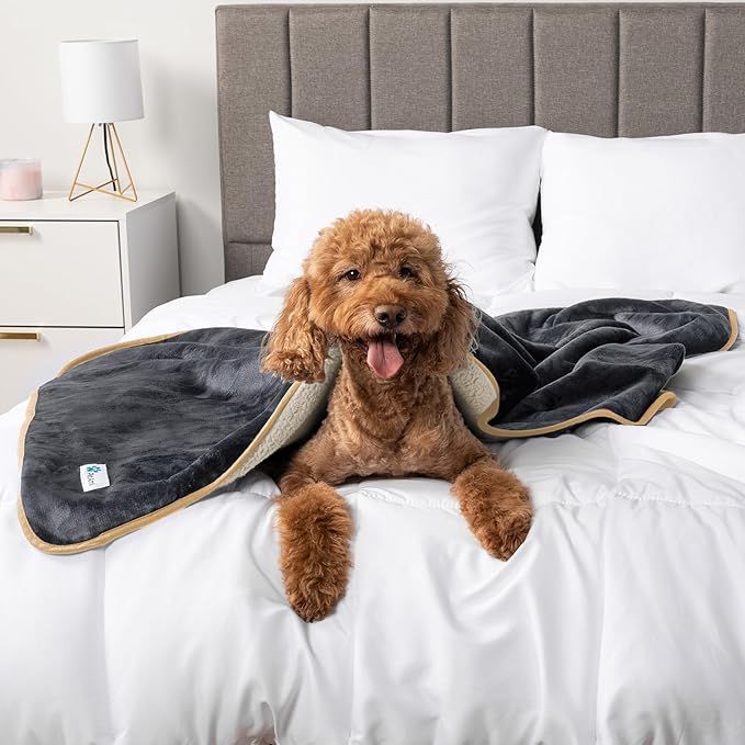 PetAmi Waterproof Dog Blanket for Medium Large Dogs, Pee Proof Pet Blanket for Couch Bed, Reversible Water Proof Blanket for Puppy Indoor Cat, Soft Dog Fleece Blankets Washable, 40x60 Gray/Beige