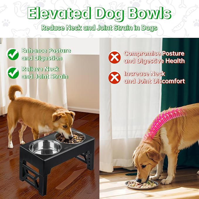EliteField Elevated Dog Bowls, 2 Stainless Steel Bowls (2-Year Warranty) | 58 oz Bowls, 5 Adjustable Heights, Small to Large Dogs, Foldable, Dishwasher Safe, Anti-Slip Feet