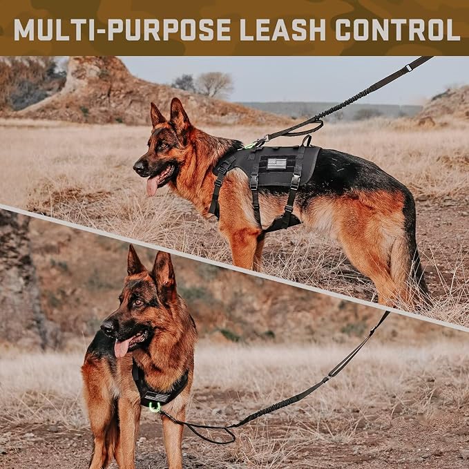 Forestpaw Tactical Dog Harness Collar Bungee Leash Set,M,Black | Adjustable Fits 22-35" Chest,30-80 lbs,No Pull Control Military Style,Quick Release Buckle,Walking Training for Medium Dogs