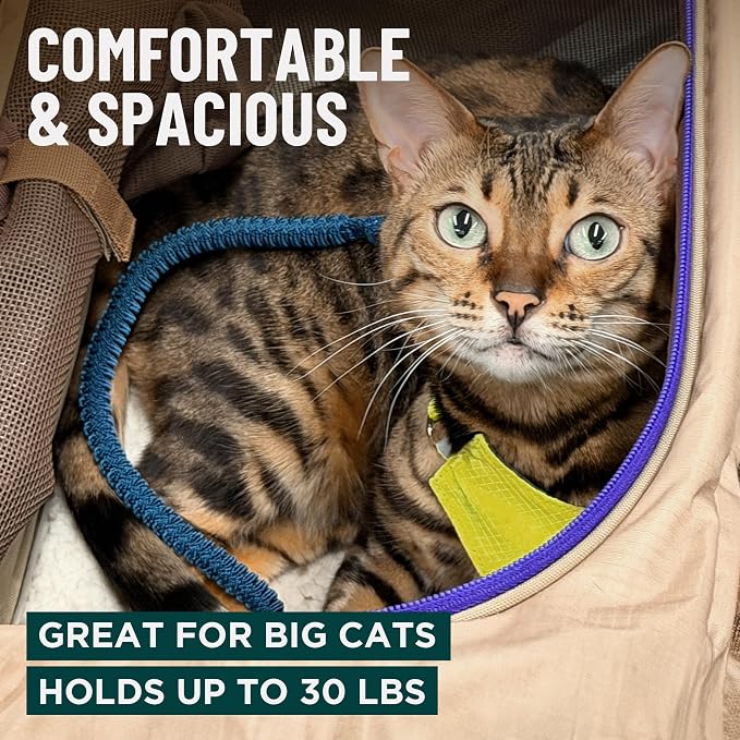 OutdoorBengal Zeppelin™ Airline-Approved Large Cat Carrier Soft – TSA-Approved Pet Carriers with Top Opening for Plane and Car Travel – Kittens or Small Dog Carrier (Black)