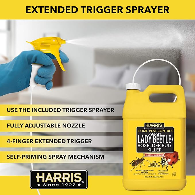 Harris Asian Lady Beetle, Japanese Beetle, and Box Elder Killer, Liquid Spray with Odorless and Non-Staining Extended Residual Kill Formula (Gallon)
