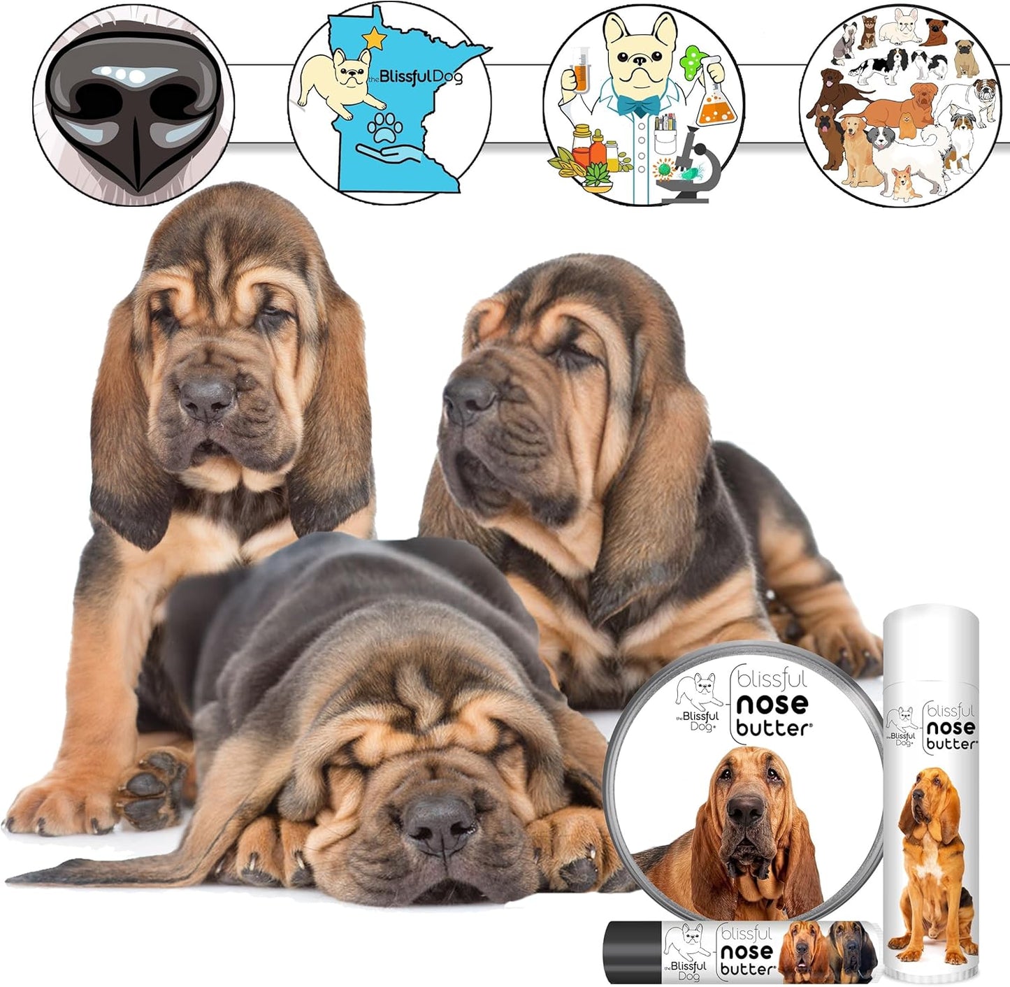 The Blissful Dog Bloodhound Nose Butter for Dry, Cracked Skin, Lick-Safe Dog Nose Balm with Moisturizing Shea Butter, Almond, Olive, and Essential Oils, Pet Supplies, Uncented, 1 oz.