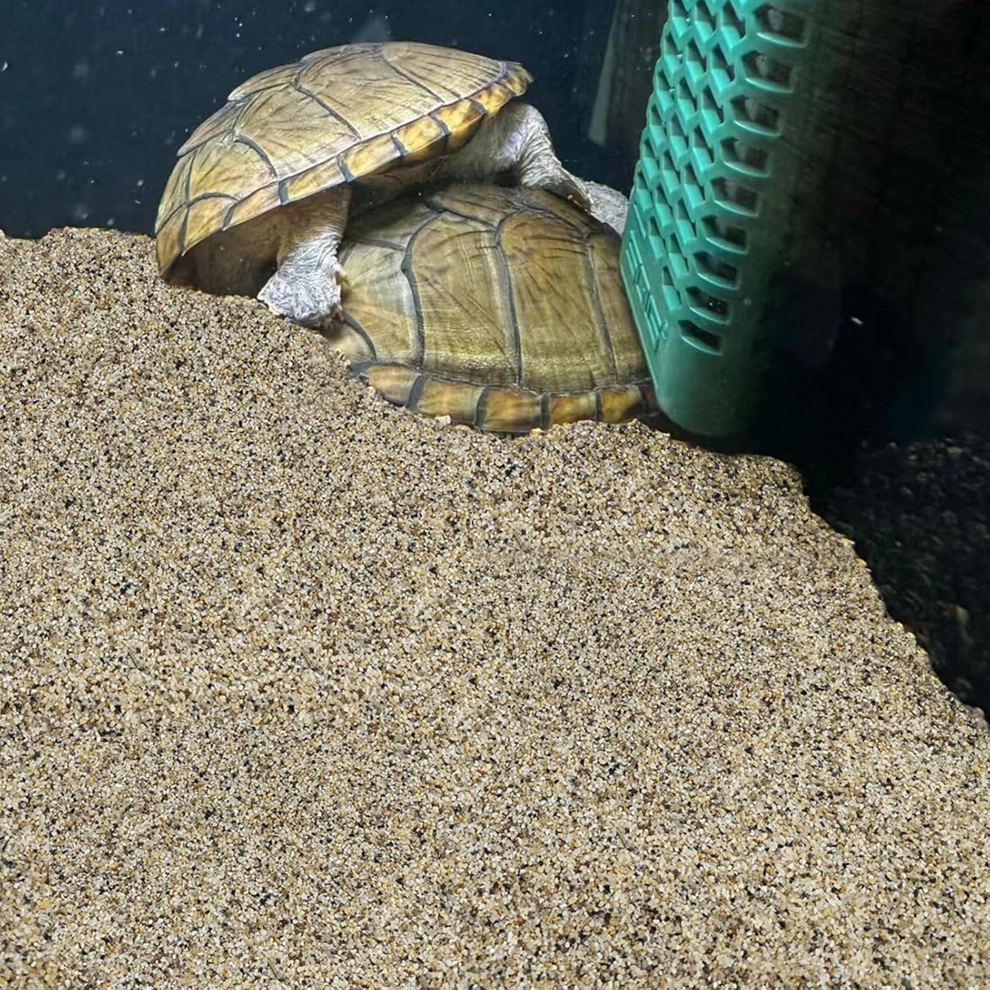 20 lbs Aquarium Sand, 0.6-1.2 mm Aquarium Substrate for Freshwater Fish Tank. Decorative River Rocks Gravel for Fish Tank, Plants Potted, Fire Pits, Candle, Vase and Crafts