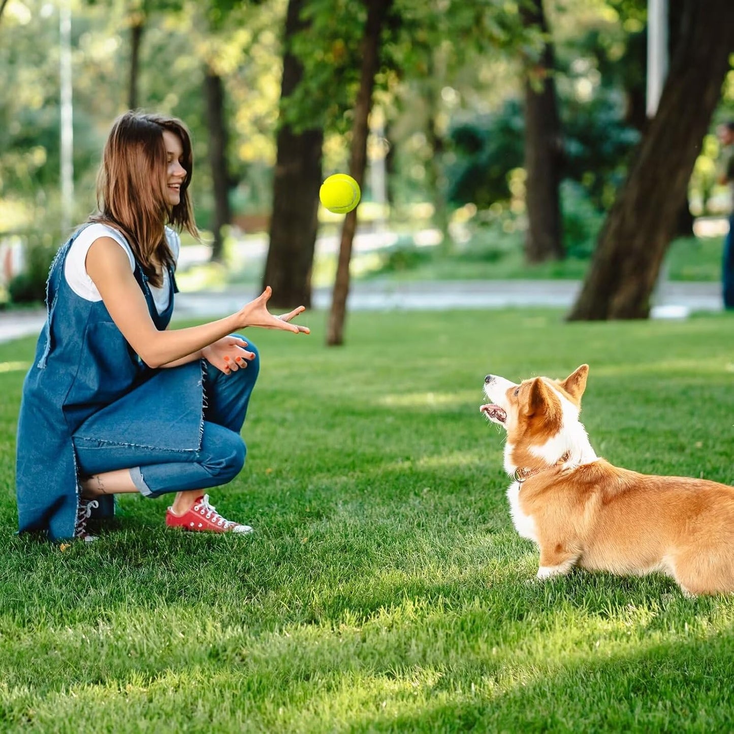 Prime Pets Tennis Balls for Dogs, 2.5 Inch Squeaky Dog Balls for Play & Fetch, Squeaky Tennis Balls for Medium, Large Dogs, Dog Toy Balls