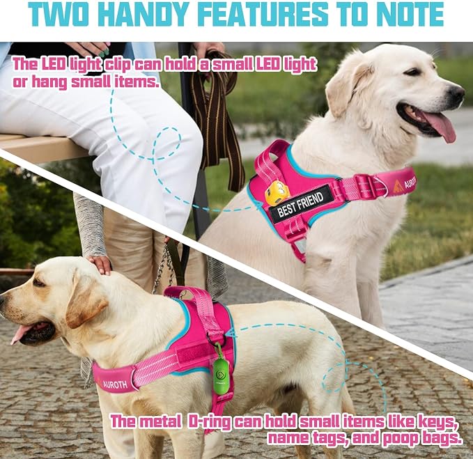 AUROTH Dog Harness and Leash Set Small Sized Dog, No Pull Escape Proof Vest | with Leash Clips, LED light clip, Breathable Mesh Padded No Choke, Easy Walking and Training, Rose Red, Small