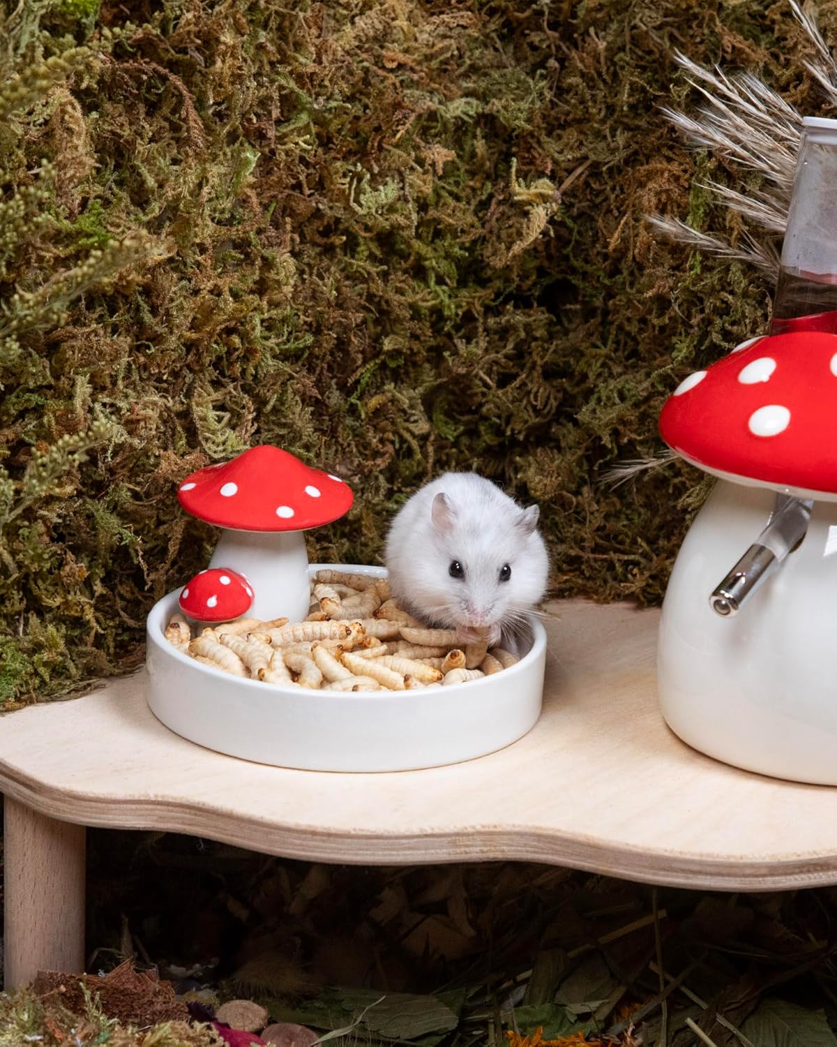 Niteangel Small Animal Snack & Treats - Small Critter Natural Treat for Dwarf Syrian Hamsters Gerbils Mice Sugar Glider Hedgehogs Chickens Birds (Freeze-Dried Worms- 0.9oz (25g))