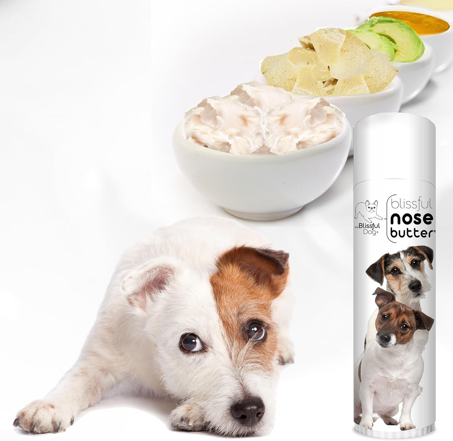 The Blissful Dog Jack Russell Terrier Nose Butter for Dry, Cracked Skin, Lick-Safe Dog Nose Balm with Moisturizing Shea Butter, Almond, Olive, and Essential Oils, Pet Supplies, Uncented, 0.50 oz.