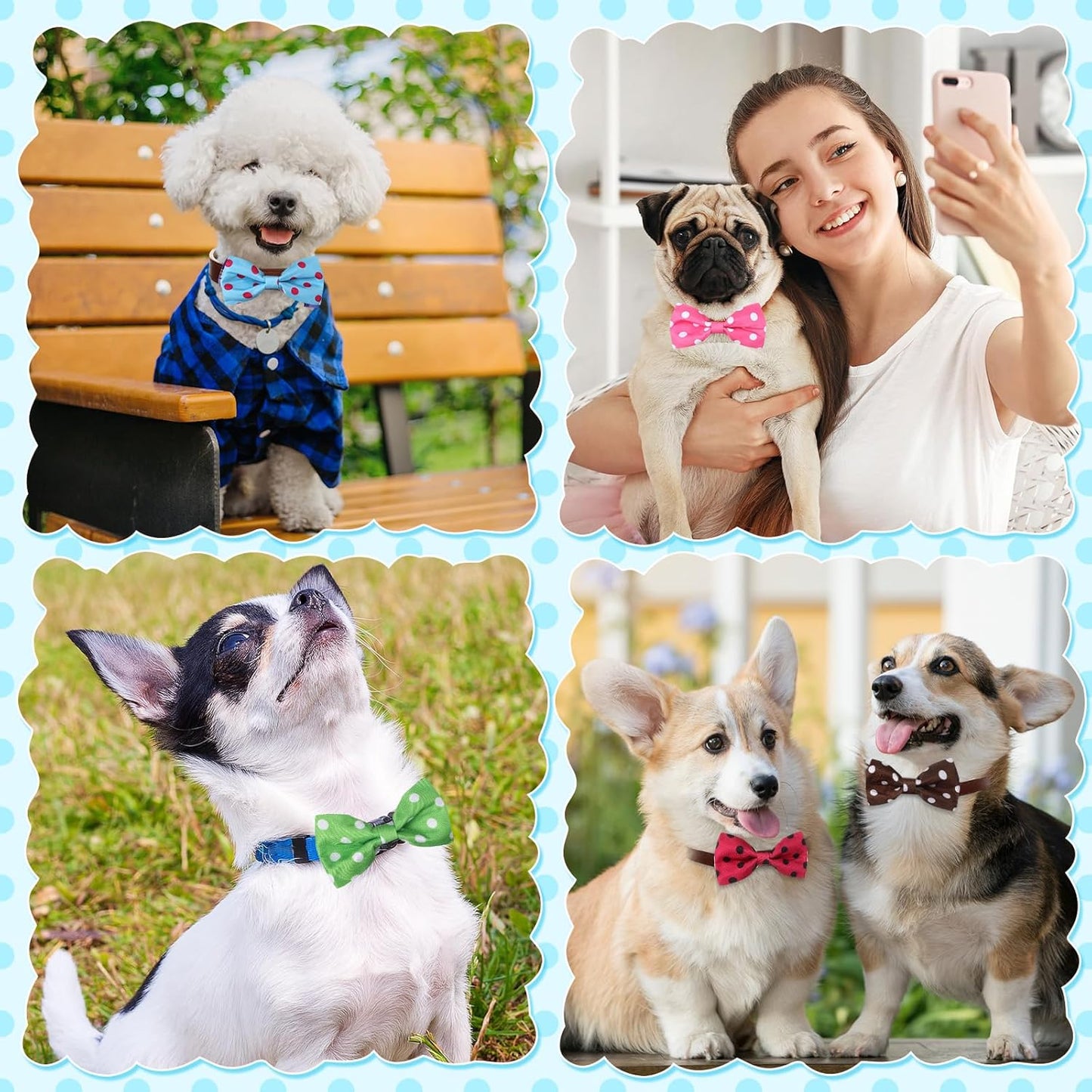 Reginary 50 Pieces Dog Bow Ties Pet Collar Bow Puppy Collar Attachment with Rubber Bands for Small Medium Cat Pet Grooming Charms Accessories Wedding Birthday Occasion (Polka Dot Style)