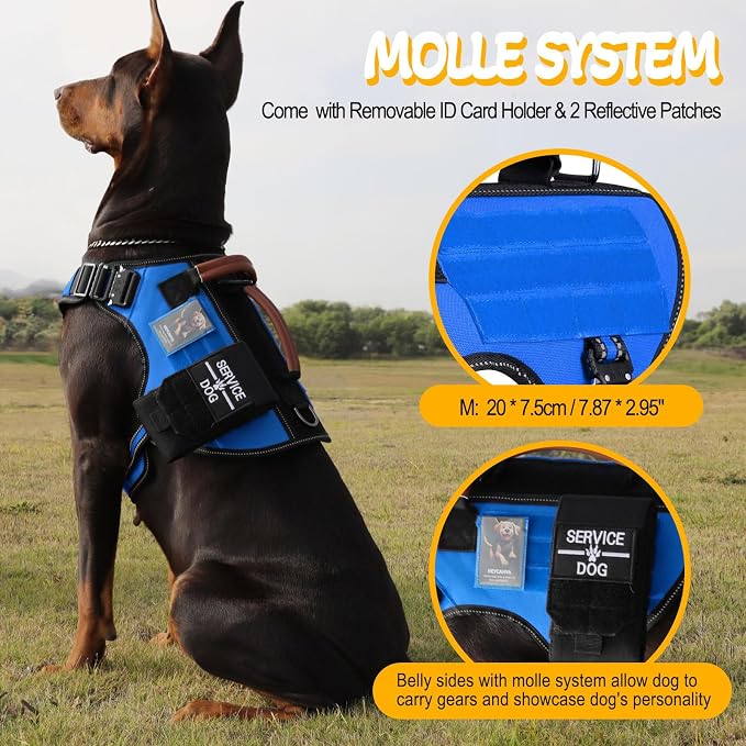 Service Dog Vest - HEYCAHVA Tactical Dog Harness Full Metal Buckles Dog Vest for Large Medium Dog Reflective No Pull Dog Harnesses with Leather Handle, Hook & Loop for Hiking Training (Blue, M)