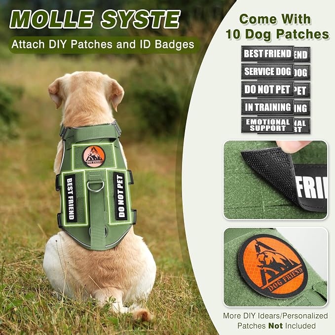Service Dog in Training Vest and Leash Set+10 Patches,Escape Proof | Heavy Duty Tactical Dog Harness with Metal Buckles for Medium Sized Dogs,No Pull Front Back Clips,for Training Hiking,Green M