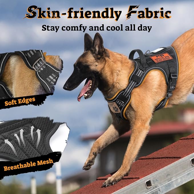 rabbitgoo Tactical Dog Harness for Large Dogs, No Pull Service Pet Vest | Military Molle System & Easy Control Handle, Adjustable and Reflective for Walking and Training, Black, Large