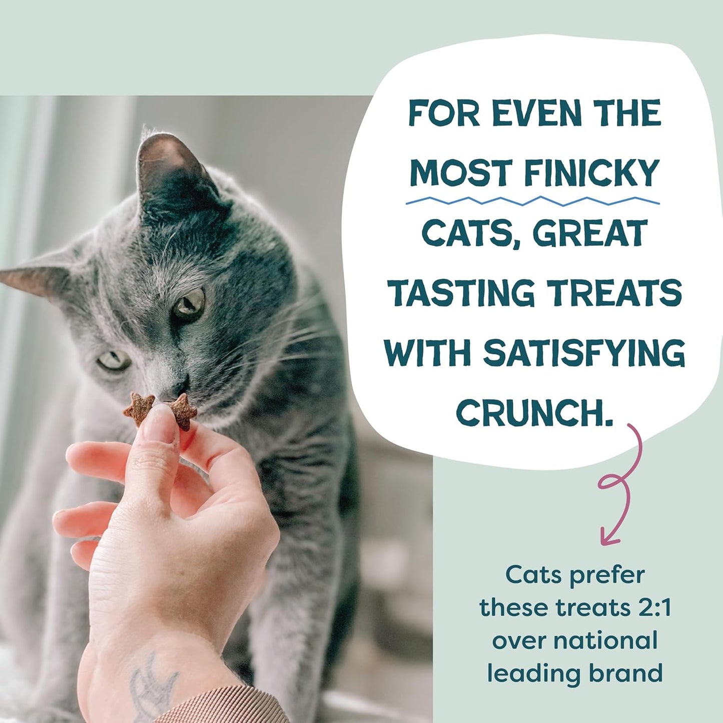 Shameless Pets Crunchy Cat Treats - Kitty Treats for Cats with Digestive Support, Natural Kitten Treats with Real Chicken, Healthy Flavored Feline Snacks - Cran You Say Chicken, 1-Pk
