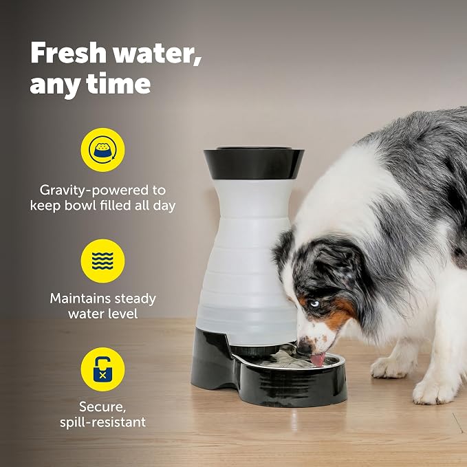 PetSafe Healthy Pet Food & Water Stations - Cat & Dog Food Storage Container - Filter Included with Waterer - Keeps Food & Water Fresh - Suitable for Small, Medium, & Large Dogs - Stainless Steel Bowl