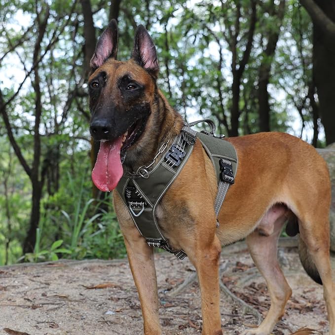 ICEFANG Quick-Moving Tactical Dog Harness X-Large Dogs,No Pull Dog Vest | Control Handle,Reflective,Full Metal Buckles,Adjustable,Hook-and-Loop Panel,Soft Padded,Green,X-Large