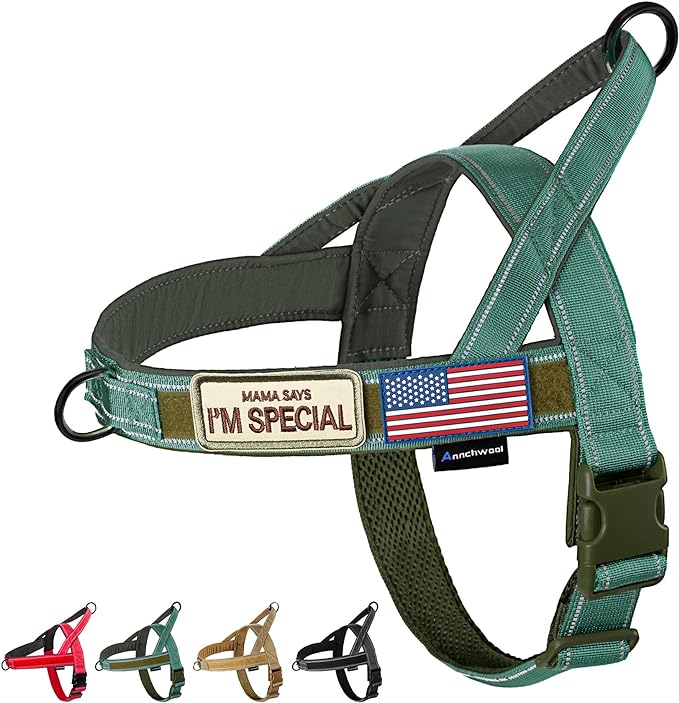 Annchwool No Pull Dog Harness with Soft Padded Handle,Reflective Strip Escape Proof and Quick Fit to Adjust Dog Harness,Easy for Training Walking for Small & Medium and Large Dogs(Green,S)
