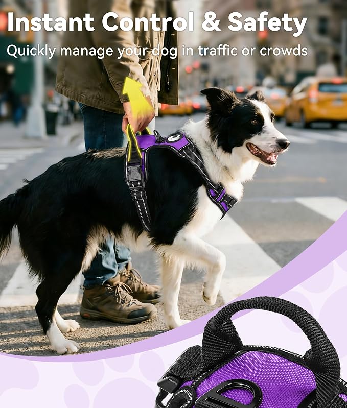 Joytale No Pull Dog Harness for Large Dogs, Front Clip, Purple | Grab Handle for Instant Control, Padded & Adjustable Vest, Sturdy Metal D-Rings, for Safe Training & Daily Walking