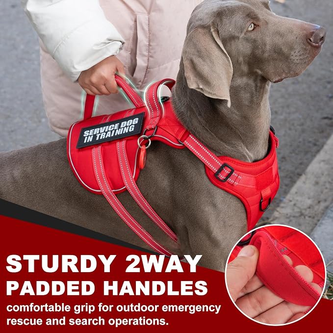 Service Dog Harness + ID Tag 50 ADA Information Cards - No Pull Dog Vest 10 PCS Removable Patches - Reflective Emotional Support Animal Vest for Large Dogs - Adjustable Breathable ESA Training Vest