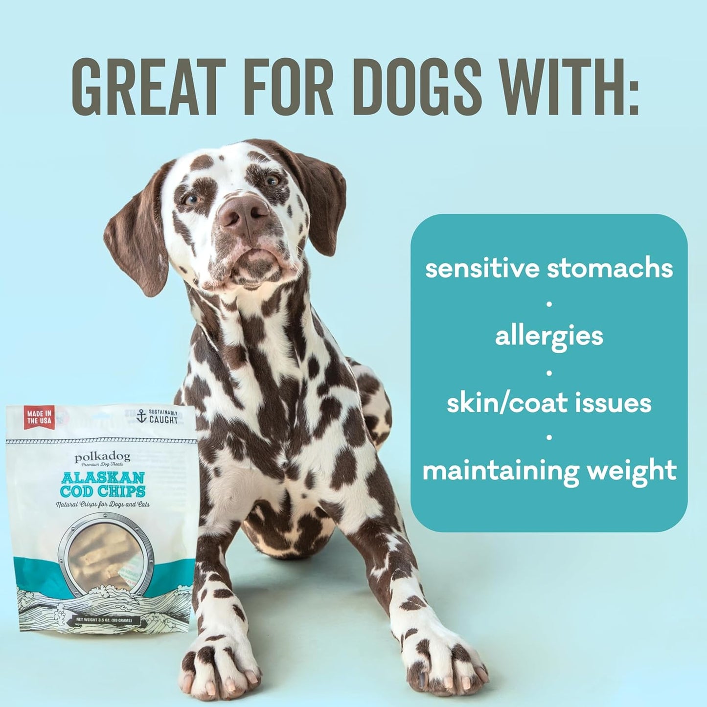 Polkadog Crunchy Alaskan Cod Chips – Single Ingredient Dog Treats, 100% Wild-Caught Cod from Alaska – High-Protein, Omega-3 Rich, Grain-Free, All Natural Snacks – Handcrafted in USA - 2.75 oz