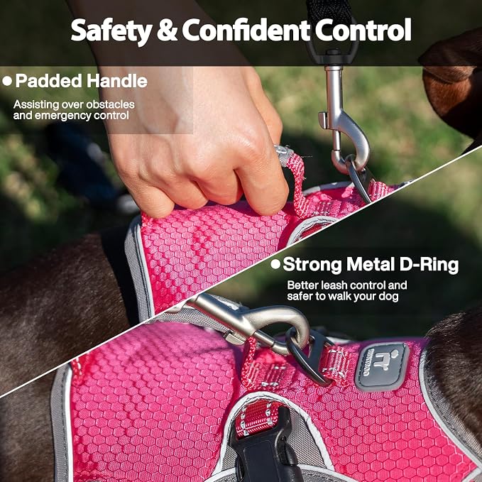 Escape Proof Dog Harness, Dachshund Harness, Reflective Dog Harness with Handle, Durable,Adjustable Vest for Small Medium Large Dogs Walking, Training, and Running Gear (Rose red,S)