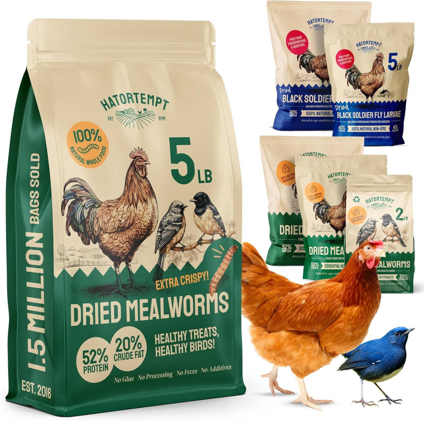 Chicken Feed Dried Mealworms - 5 Lb, Non-GMO & Organic - High-Protein Mealworms for Wild Birds & Ducks, Chicken Treats & Bird Food