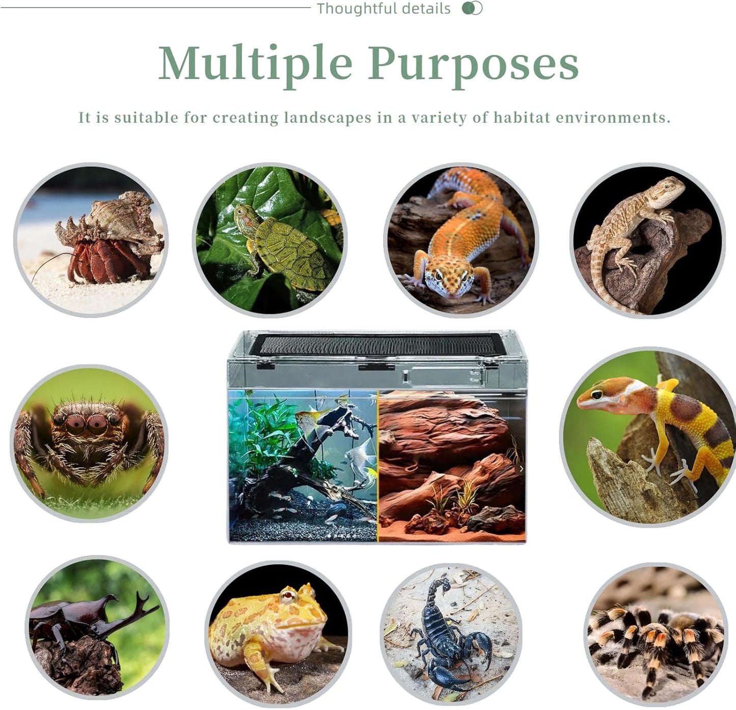 Reptile Terrarium 2025 Upgrade Leopard Gecko Tank Dual use of Water and Land, Stronger, More Durable, More Convenient, Suitable for Gecko, Hermit Crab, Tree Frog, Tarantula,Spiders (Small)