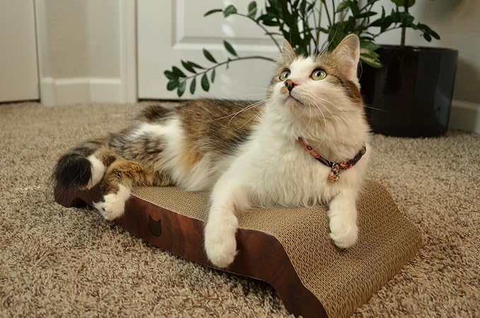 Necoichi Cardboard Cat Scratcher Bed for Indoor Cats - Cat Scratching Board, Horizontal Cat Scratch Pad Lounger with Reversible Usability and Extra Comfort for Lounge, Curved (22" Large, Dark Cherry)