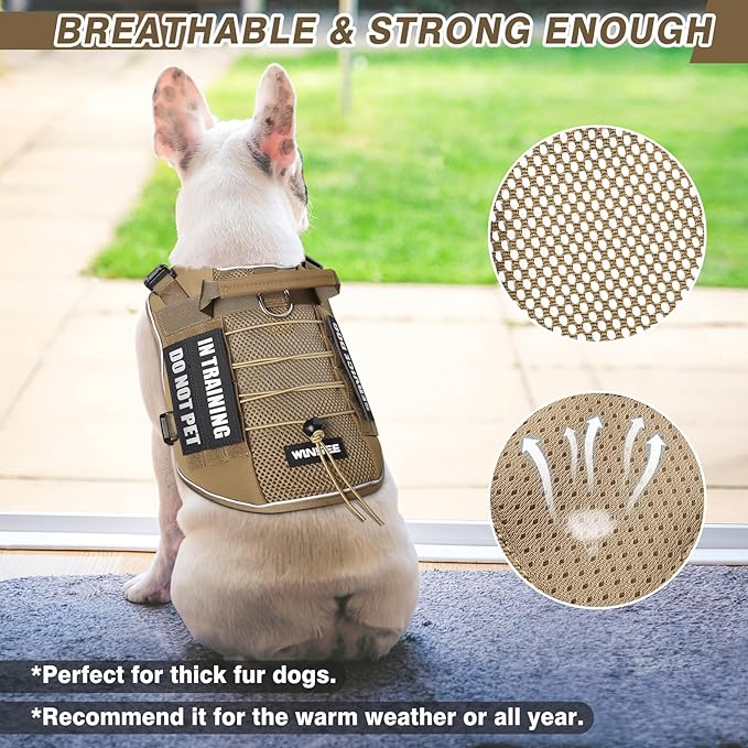 Service Dog in Training Mesh Harness with 10 Removale Pet Patches | Breathable material, adjustable straps, reflective trim, lightweight but durable, great for training, walks, and outings