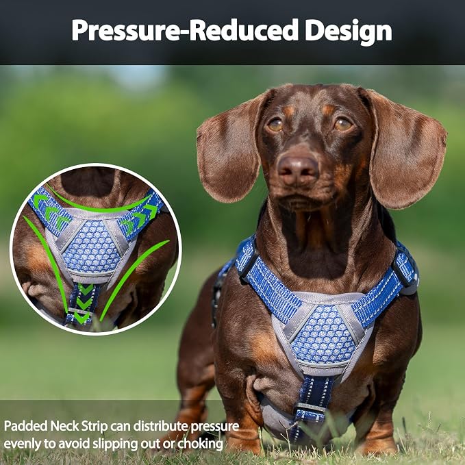 Escape Proof Dog Harness, Dachshund Harness, Reflective Dog Harness with Handle, Durable,Adjustable Vest for Small Medium Large Dogs Walking, Training, and Running Gear (Technicolor Blue,M)