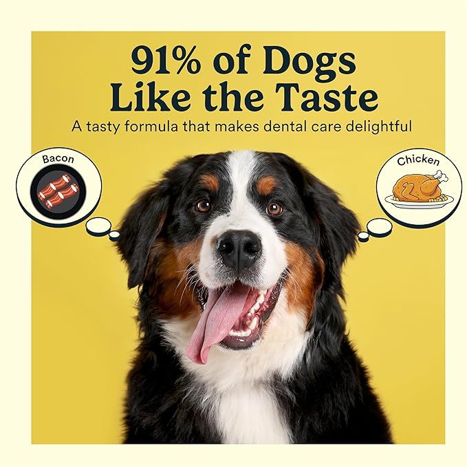 Jasper Dog Tooth Brushing Kit and Dog Toothpaste Kit with Dog Toothbrush Enzymatic, Plaque Remover Imporves Bad Breath Natural Pet Toothpaste Dog Toothbrush and Toothpaste 2 oz Bacon Flavor