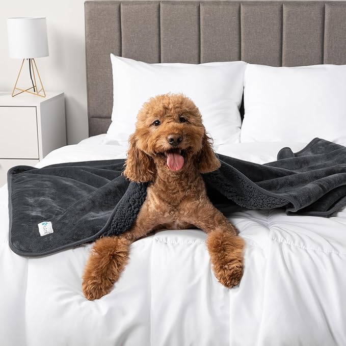 PetAmi Waterproof Dog Blanket for Small & Medium Dogs, Pee Proof & Reversible, Soft Fleece, Washable, 24x32 Gray