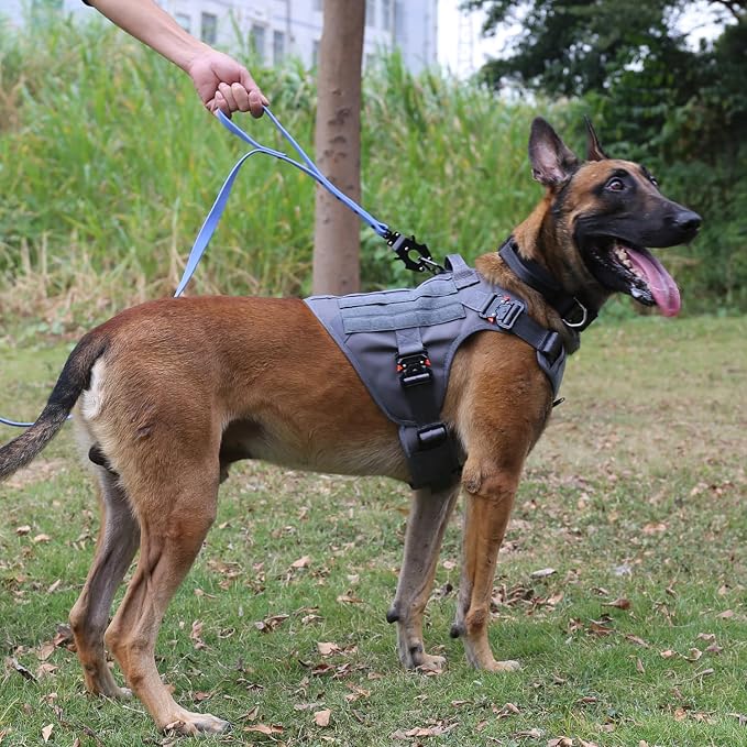 ICEFANG Tactical Dog Harness for X-Large Dogs,Full Metal Buckles Dog Vest | with MOLLE, Reflective,Adjustable,2 Leash Clips,Control Handle,No Pull,Soft Padded,Grey,X-Large
