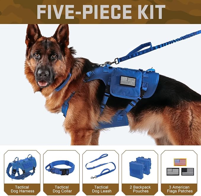 Forestpaw Tactical Dog Harness Collar Bungee Leash Set,M,Blue | Adjustable Fits 22-35" Chest,30-80 lbs,No Pull Control Military Style,Quick Release Buckle,Walking Training for Medium Dogs