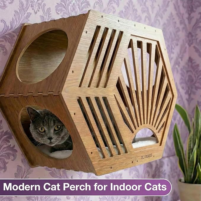 Modern Hexagonal Cat Wall Shelf System, 6-Piece Wood Wall Mounted Cat Furniture with 2 Small Hexagons, 1 Large Hexagon and 3 Climbing Steps, Geometric Cat Shelves