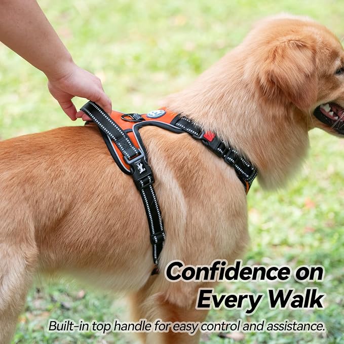 PoyPet No Pull Dog Harness Small with Front Clip & Neck Release Buckle | No Choke, Adjustable Vest, Reflective, Back Clip, Lockable, Soft Padded, Easy Control Handle for Walking Training, S, Orange