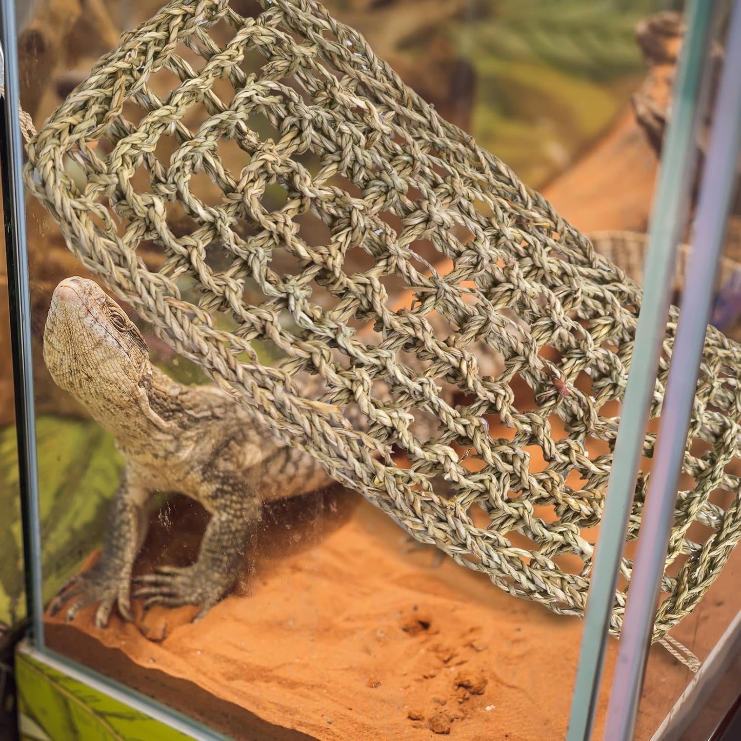 kathson Bearded Dragon Hammock, Natural Seagrass Reptile Hammock, Reptile Lounger Bearded Dragon Tank Accessories for Chameleons, Lizards, Geckos, Snakes, Lguana Reptiles, Geckos (29.52 x 7.08 inches)