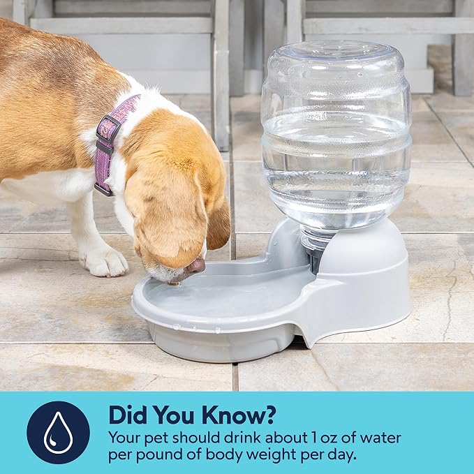 Petmate Aspen Pet Aspen Pet Lebistro Cat and Dog Water Dispenser, Made in USA, 6.75"L x 11.4"W x 11.9"H, 1 Gallon
